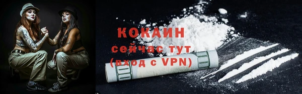 хмурый Белокуриха