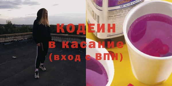 хмурый Белокуриха