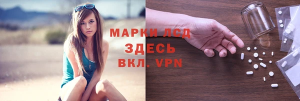 хмурый Белокуриха
