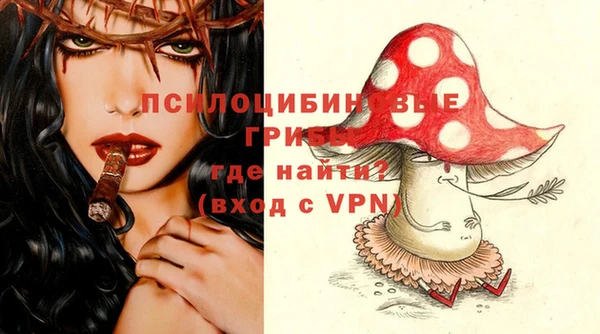 ГАЛЛЮЦИНОГЕННЫЕ ГРИБЫ Беломорск