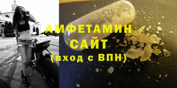 хмурый Белокуриха