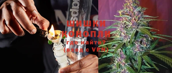 хмурый Белокуриха