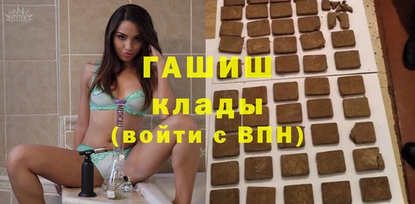хмурый Белокуриха